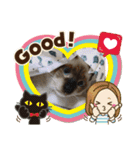 かつお＆ふぐ（個別スタンプ：11）