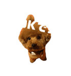 犬のサンちゃん（個別スタンプ：3）