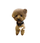 犬のサンちゃん（個別スタンプ：4）