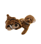 犬のサンちゃん（個別スタンプ：6）