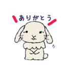 色んなうさぎさん（個別スタンプ：3）