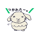色んなうさぎさん（個別スタンプ：4）