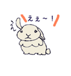 色んなうさぎさん（個別スタンプ：11）