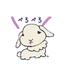 色んなうさぎさん（個別スタンプ：12）