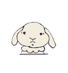 色んなうさぎさん（個別スタンプ：19）