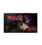 P氏（個別スタンプ：2）