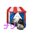 Goldendoodleの使えるスタンプその2（個別スタンプ：32）
