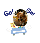 はなちゃんの大冒険（個別スタンプ：5）