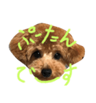 ぷーたんたちのすたんぷその1（個別スタンプ：1）