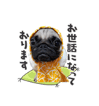 愛犬パグのおこげスタンプ（個別スタンプ：3）