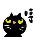 猫のスターフレンド part 5（個別スタンプ：6）