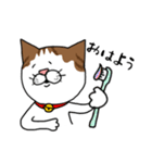 うちのねこです。チャカです。（個別スタンプ：1）