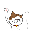 うちのねこです。チャカです。（個別スタンプ：3）