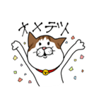 うちのねこです。チャカです。（個別スタンプ：5）