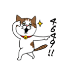 うちのねこです。チャカです。（個別スタンプ：6）