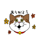 うちのねこです。チャカです。（個別スタンプ：7）