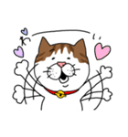 うちのねこです。チャカです。（個別スタンプ：8）