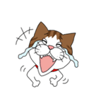 うちのねこです。チャカです。（個別スタンプ：9）
