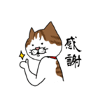 うちのねこです。チャカです。（個別スタンプ：10）