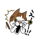 うちのねこです。チャカです。（個別スタンプ：11）