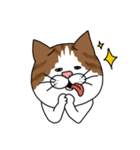 うちのねこです。チャカです。（個別スタンプ：12）
