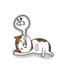 うちのねこです。チャカです。（個別スタンプ：16）
