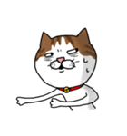 うちのねこです。チャカです。（個別スタンプ：18）