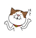 うちのねこです。チャカです。（個別スタンプ：20）