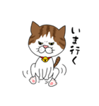 うちのねこです。チャカです。（個別スタンプ：22）