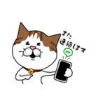 うちのねこです。チャカです。（個別スタンプ：23）