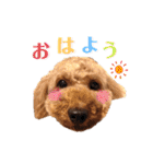 S-R☆M（個別スタンプ：4）