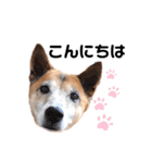 S-R☆M（個別スタンプ：5）