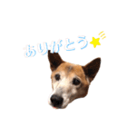 S-R☆M（個別スタンプ：7）