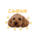 S-R☆M（個別スタンプ：9）
