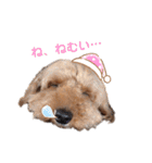S-R☆M（個別スタンプ：11）