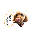 S-R☆M（個別スタンプ：12）