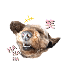 S-R☆M（個別スタンプ：14）