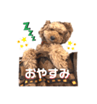 S-R☆M（個別スタンプ：15）