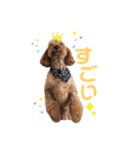 S-R☆M（個別スタンプ：23）
