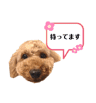 S-R☆M（個別スタンプ：31）