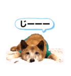 S-R☆M（個別スタンプ：39）