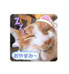 きなこの日常 part①（個別スタンプ：7）