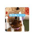 きなこの日常 part①（個別スタンプ：13）