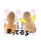 ロコぺぺさん（個別スタンプ：16）