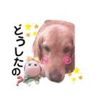 ロコぺぺさん（個別スタンプ：18）