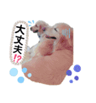 ロコぺぺさん（個別スタンプ：24）