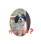 アロンジェ3（個別スタンプ：2）
