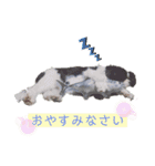 アロンジェ3（個別スタンプ：6）