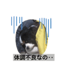 アロンジェ3（個別スタンプ：8）