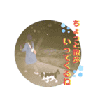 アロンジェ3（個別スタンプ：12）